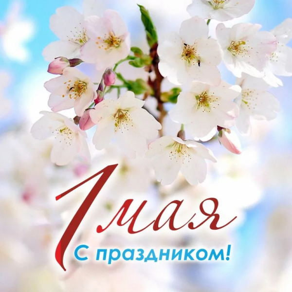 С праздником Весны и Труда!